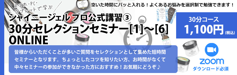 プロ30分オンライン