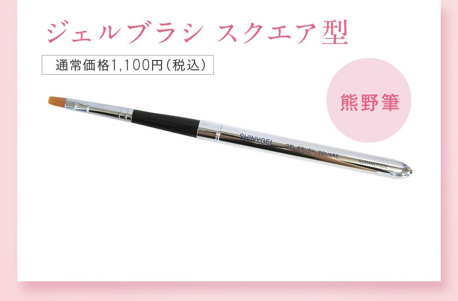 毎月先着500名様限定!
