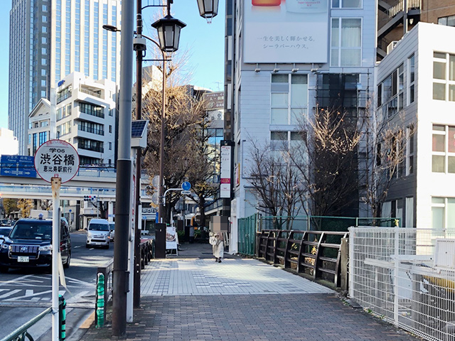 ⑤橋も渡ります